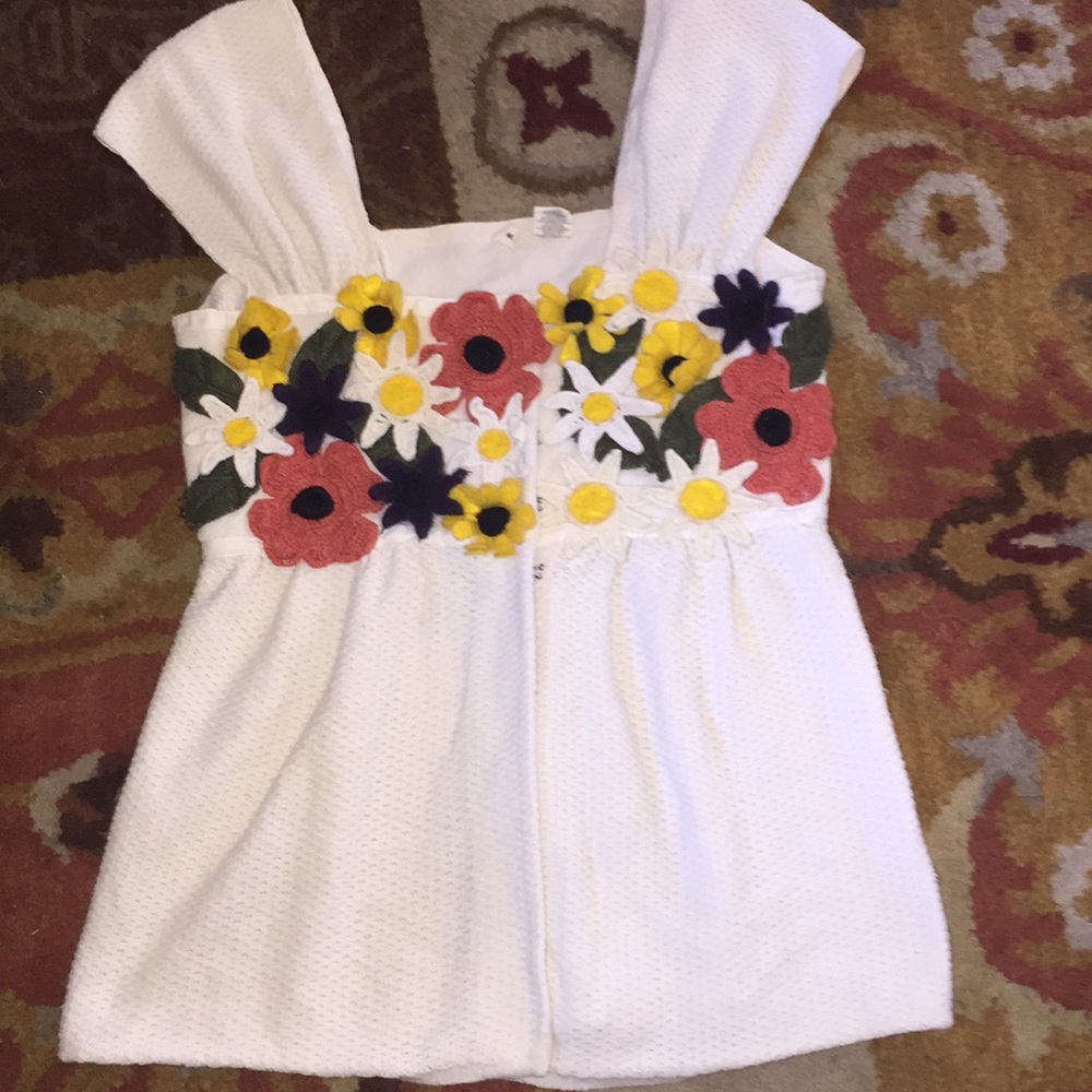 Anthropologie moth hook front top. Small